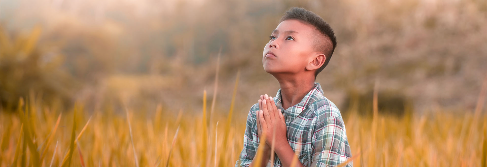 a young asian boy looking up at the sky and praying surrounded by tall yellow grass