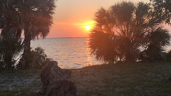 palm trees and a rock on the shore with the sun setting behind a bush