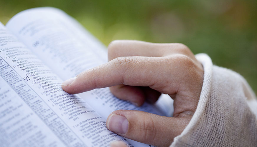 a hand tracing Bible verses in a large Bible with greenery in the background